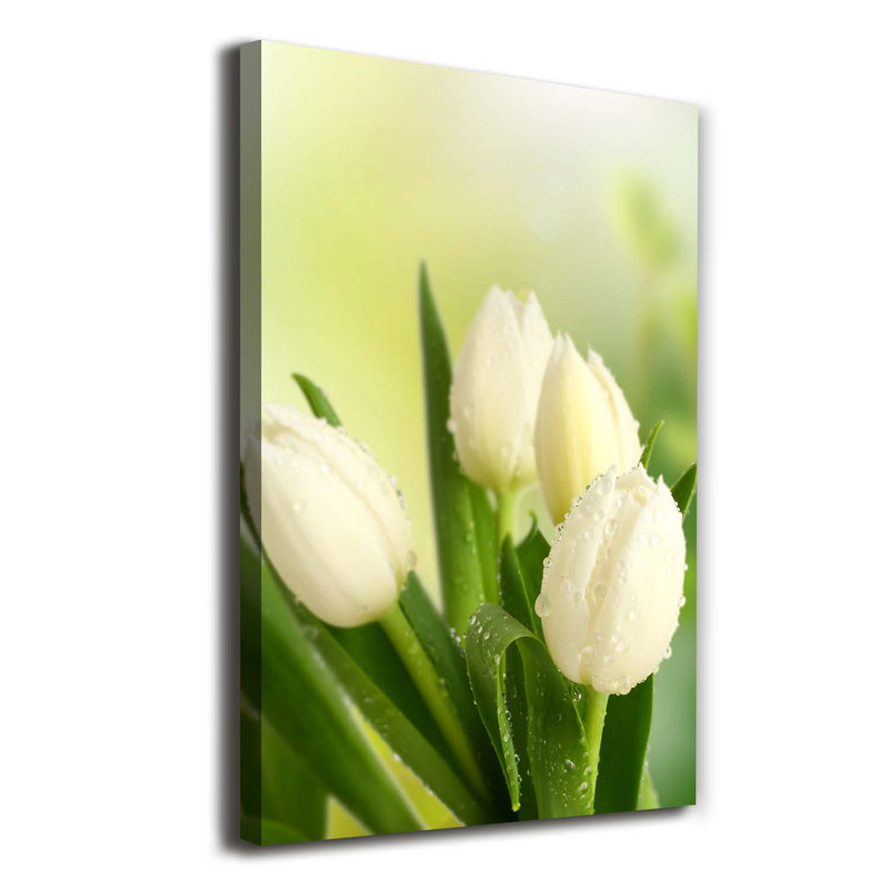 White Tulips - Wrapped Canvas Print
