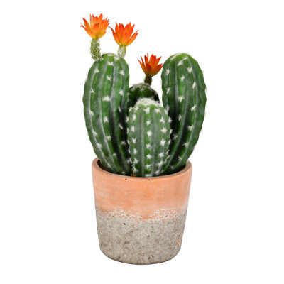 14'' Faux Cactus Succulent in Ceramic Pot