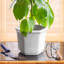 Chinese Porcelain Pot Planter-1984463931