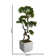 Aislin 37" Artificial Bonsai Tree in Planter