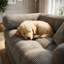 Canapé-lit Cloud Boneless Couch, canapé-lit convertible 5-en-1-679714566