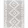 Rectangle Bassiru Polyester Area Rug in Gray