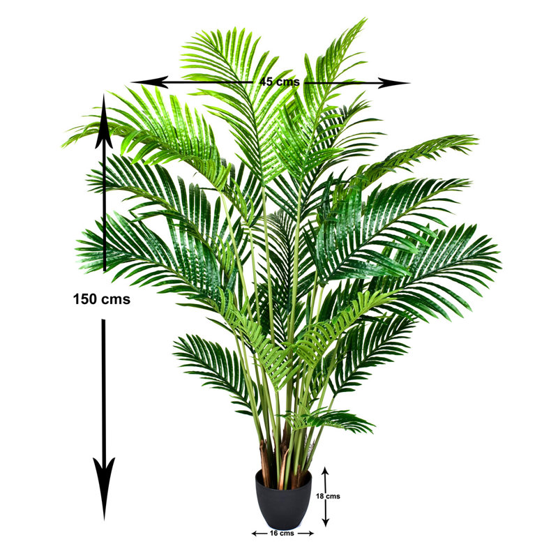 Artificial Areca Phoenix Palm Tree in Black Pot, 45cm H x 150cm W x 18cm D
