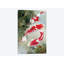 « koi i », reproduction sur toile-29084660-72792251-72792254