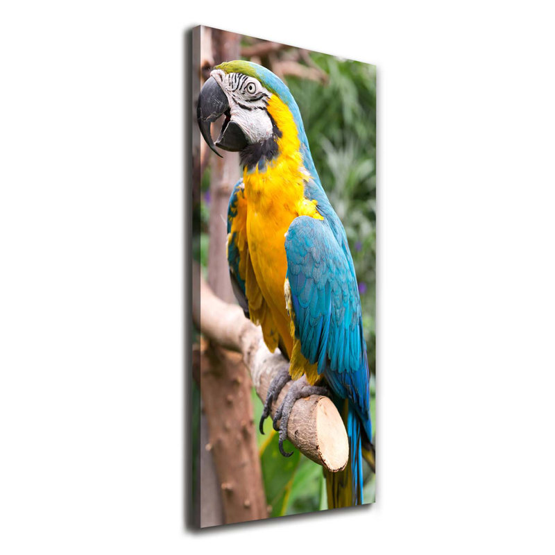 Ara Parrot - Wrapped Canvas Print