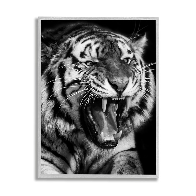 Az-067 - Tigre rugissant encadré, Estampe numérique Farmhouse, H 20 po x l 16 po x P 1,5 po