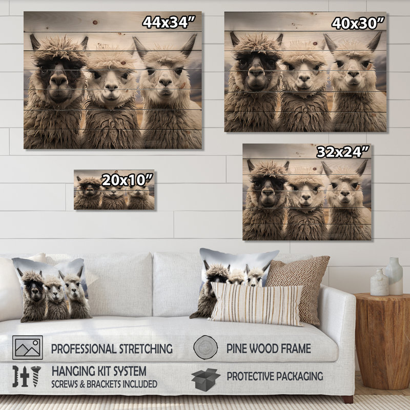 Alpacas, photographie de paysage monochrome sur bois, H 10 po x l 20 po x P 0,78 po