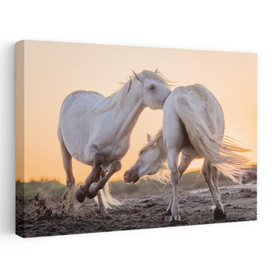«Wild Horses Golden Hour Contemporary Horse», reproduction d'art murale