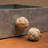 Oversized 1 5/8" Diameter Round Knob Multipack