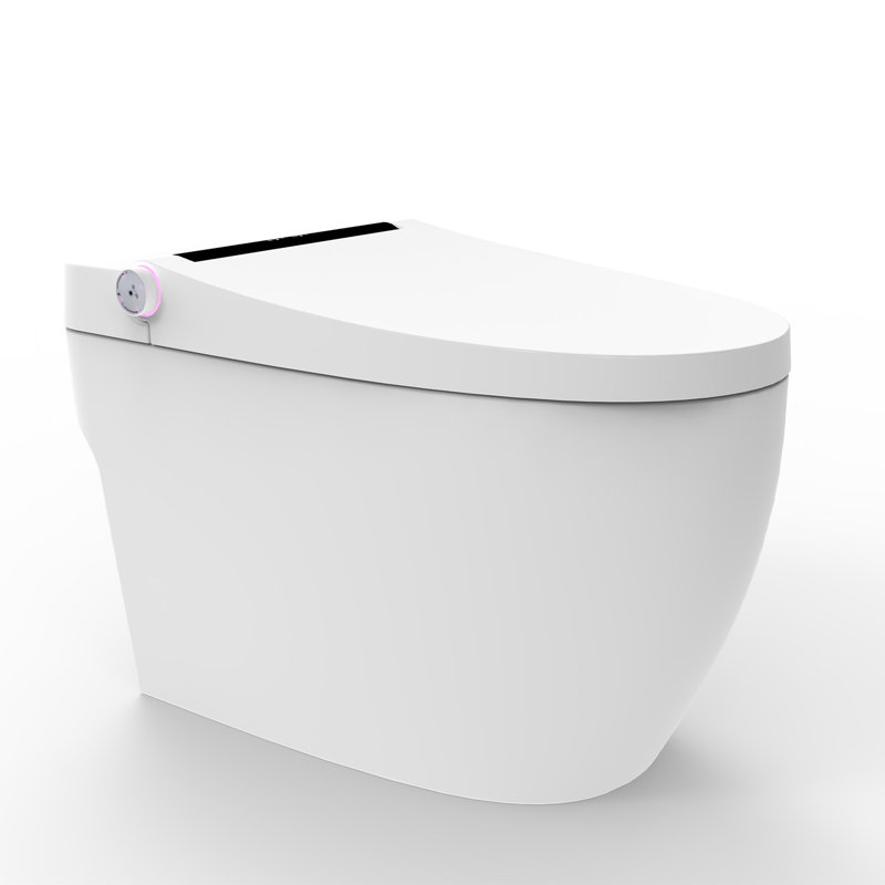 Pacific Smart Toilet- 1.28 GPF Water-Efficient Elongated