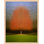Persistence by Laura Zimmerman - Framed Wall Art