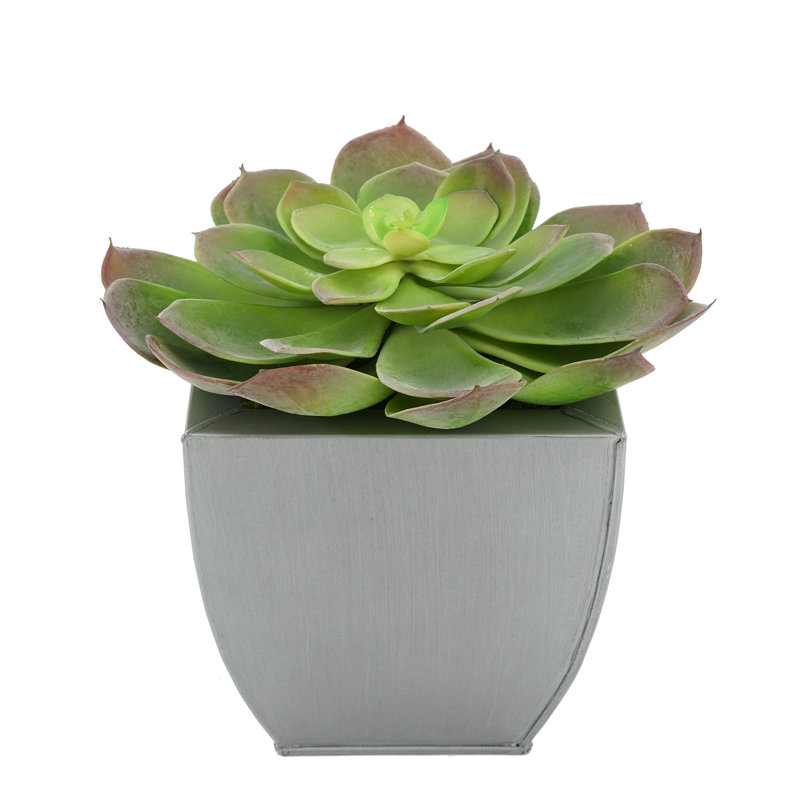 Succulent artificiel 2" en pot, Argent