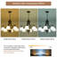 Lustre classique / traditionnel à 6 lumières à intensité variable Beechmoor