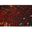 Tapis all-over 6 x 8