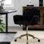 Chaise de bureau Angelyssa-2058928942