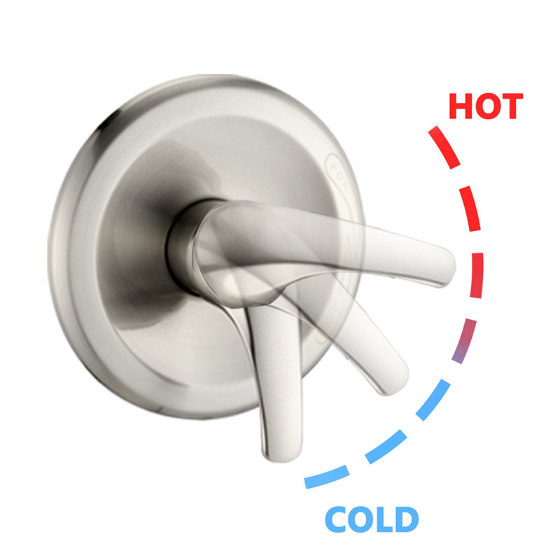 Shower Head With Handheld Shower System With 8" Rain Shower Head With Tub Spout (Rough-In Valve Included)