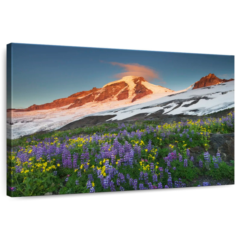 Champ de fleurs Alvord Mount Baker, H 34 po x l 51 po