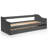 Arneson Daybed with Trundle-1195095457
