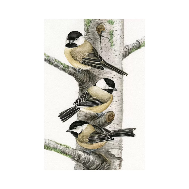 Chickadees In Birch Tree by Tracy Lizotte - Wrapped Canvas Print, 20.32 cm H x 30.48 cm W