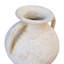 Chassitty Clay Table Vase