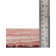 Zellig Floral Indoor / Outdoor Rug
