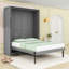 Murphy Bed with Storage Racks-2093150859