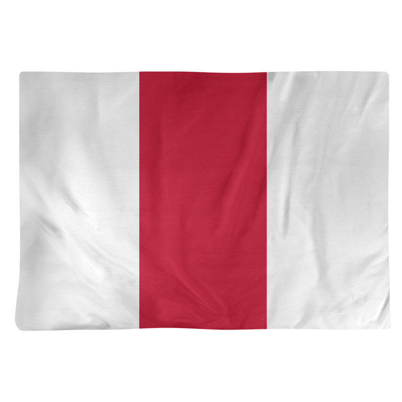 Récapitulatif 18" à rayures de football Houston, Blanc / Rouge