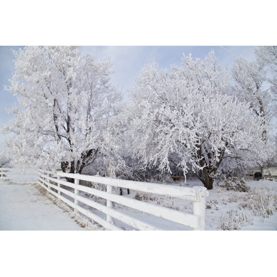 Ice Covered Trees by Haus On The Prairie - Wrapped Canvas Print