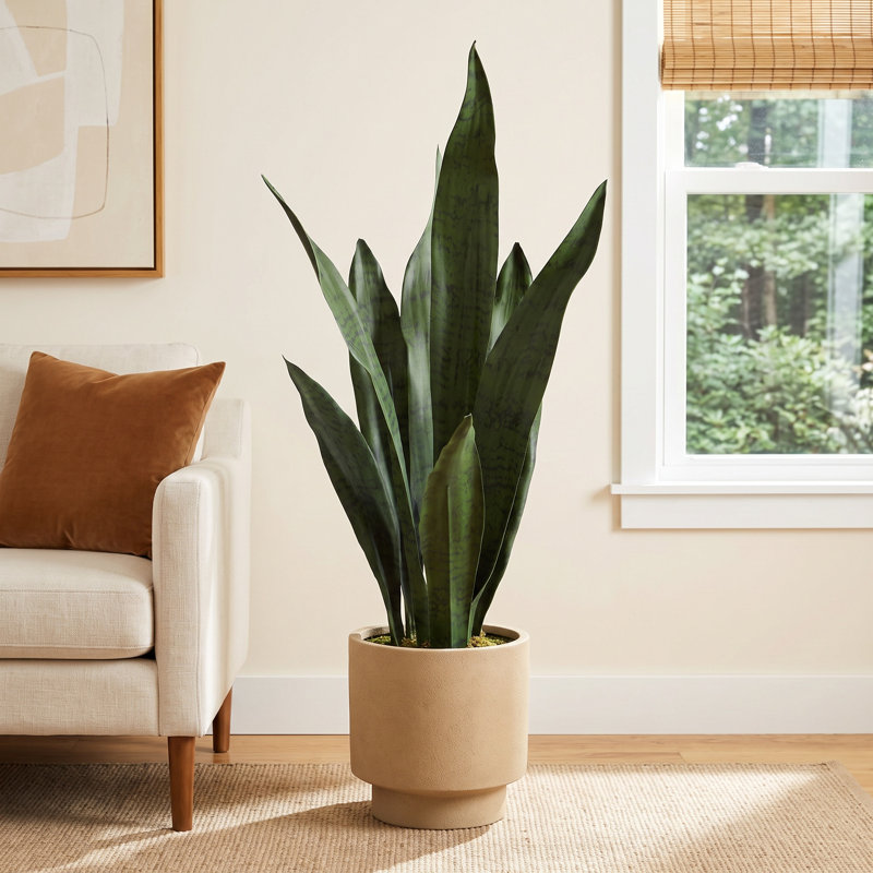 22" H Faux Snake Plant in Pot, 22" H x 5" W x 5" D, Green