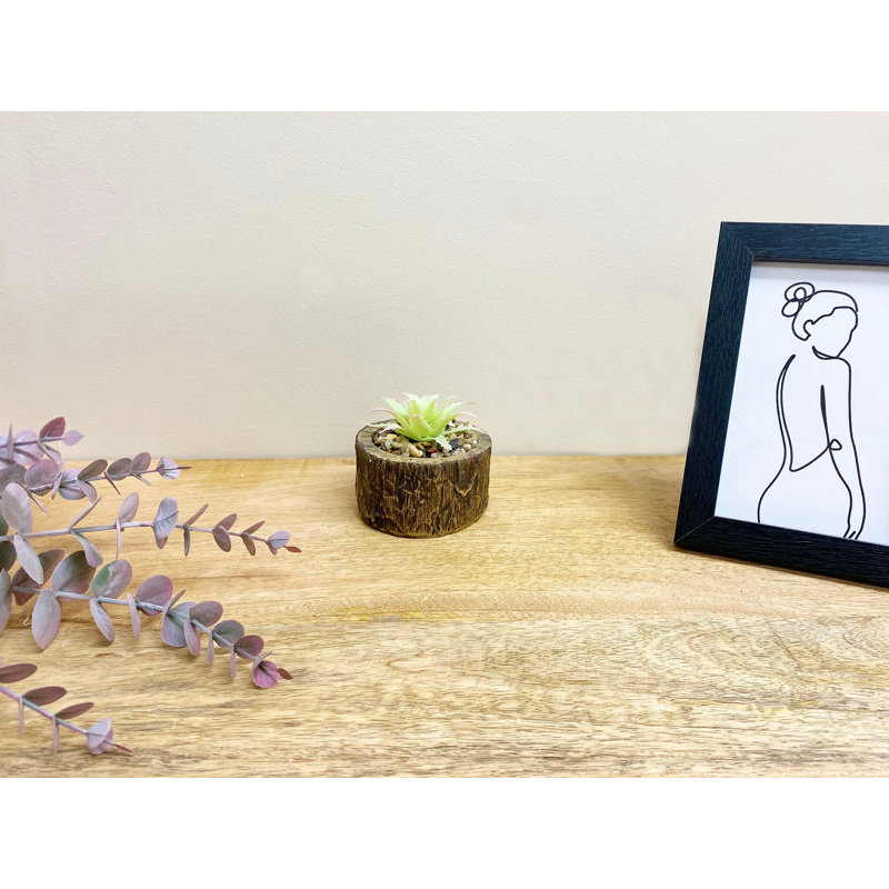 8cm Faux Succulent Plant in Cement Pot