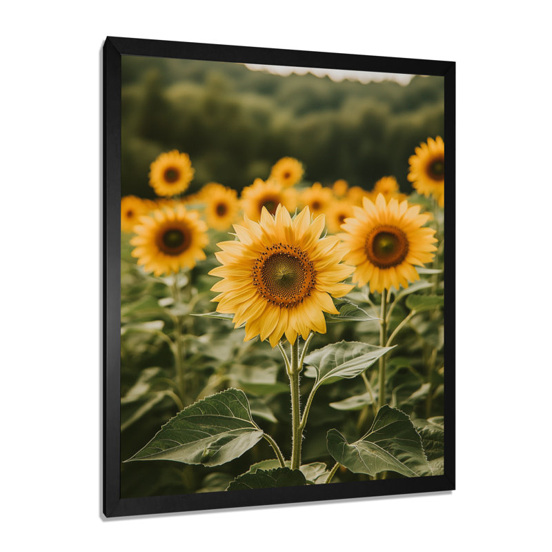 Gerardi - art mural floral, H 32 po x l 16 po, Picture Framed Print, Noir