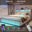 Storage Bed-1850785356-1850785360