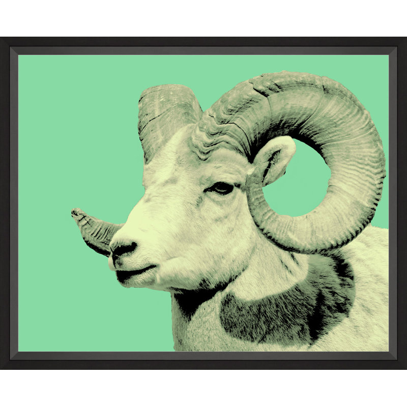 Graphic Sheep 2 Print