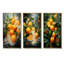 Orange tropicale-426452204-426452200