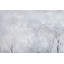 Hand -painted winter forest acrylic painting