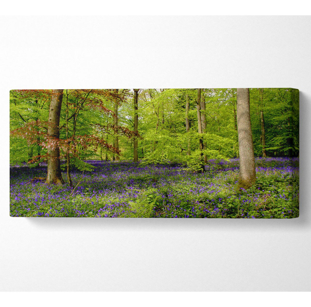 Lila Blumen im Wald Panoramaleinwand