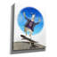  «Llama On Skateboard» par John Hovenstine, art mural sur toile, 26 po x 30 po