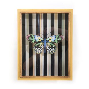 Butterfly Shadow Box