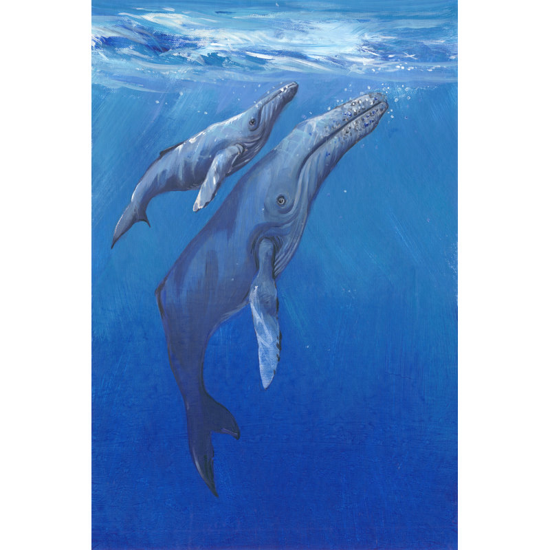 Under Sea Whales I by Tim OToole - Art Prints on Canvas, 46cm H x 30cm W x 3.8cm D