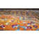 Favreau Oriental Indoor Rug