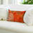 Outdoor Throw Pillow-21385413