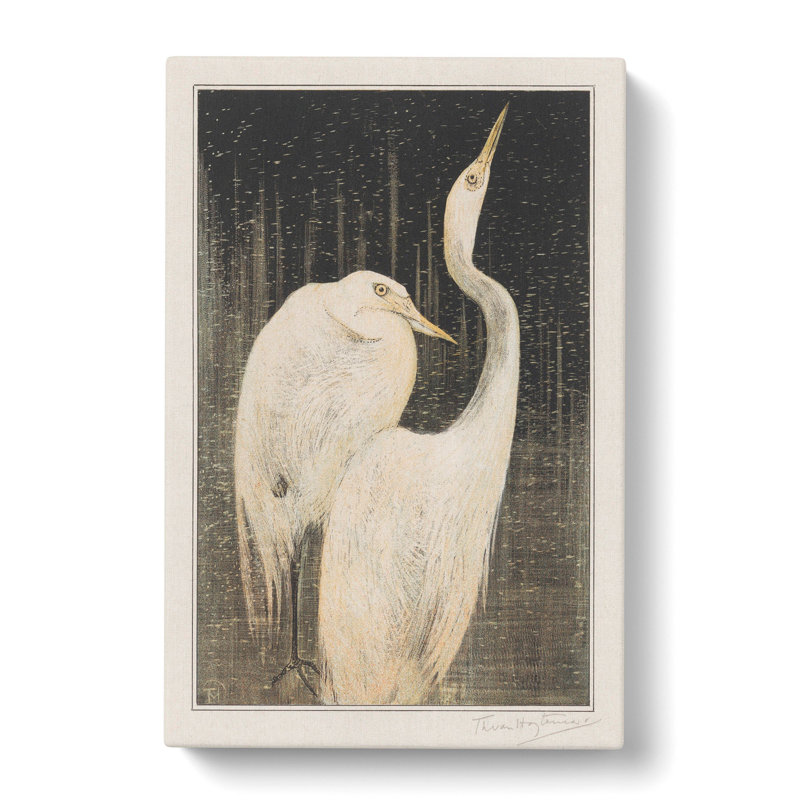 Two Egrets by Theo Van Hoytema - Wrapped Canvas Painting, 50cm H x 35cm W x 3cm D
