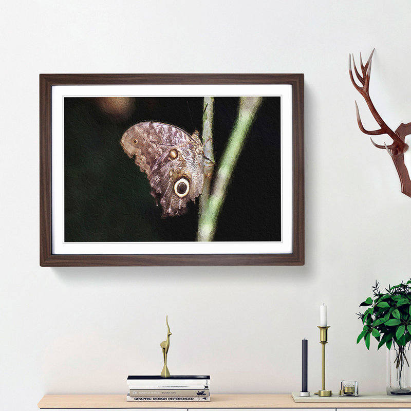 Beauty Of A Butterfly - Single Picture Frame Painting, Walnut Framed, 24cm H x 33cm W x 2cm D