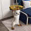 Modern Cat Side Table Floor Resin Figurine with Gold Tray Table End Table