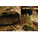 Andersonville Floral Indoor Rug