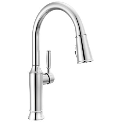 Renaldi Pull Down ProClean Sprayer Kitchen Sink Faucet, Single Handle Kitchen Faucet
