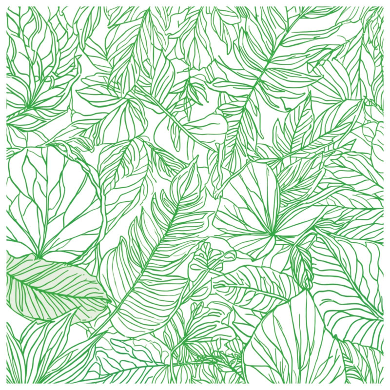 Tapis de bain Green Leaf, L 24 po x L 17 po