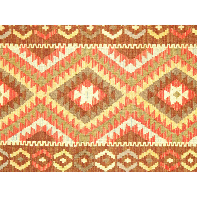 Nedjalko Southwestern Area Rug in Multi Red