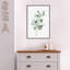 « Tender Sprout II (eucalyptus) » par Eva watts, reproduction d’art sur toile encadrée-1542997355