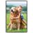 Black Front Loading Narrow Wall Picture Frame - 12 Photo Frames-99838360